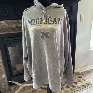 〽️ Go Blue Michigan Hoodie